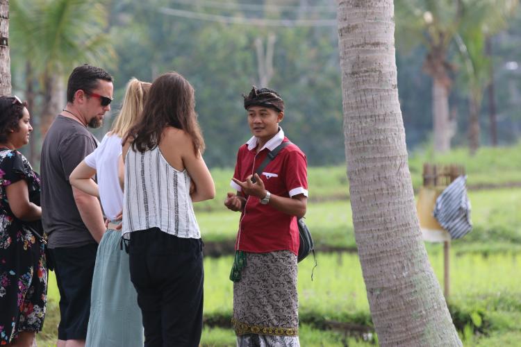  ricefield visit 